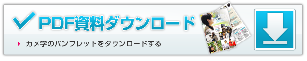 PDF資料ダウンロード